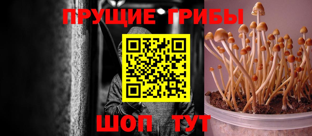 цена наркотик  Галлюциногенные грибы Cubensis  Вход с VPN  Псилоцибиновые грибы ЛСД  Качканар 
